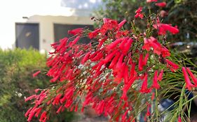 Natalia'S Townhouse, Margarita Gardens 003